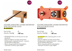 Bien Ankastre Lavabo Bataryası Seti - Rose Gold